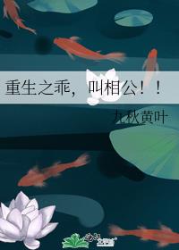 重生之相公好难撩